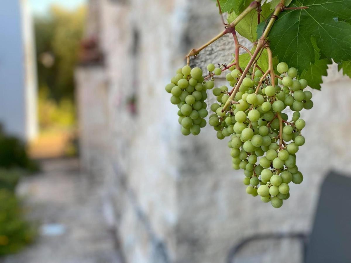 Il Palmento Hotel Relais Locorotondo Dış mekan fotoğraf