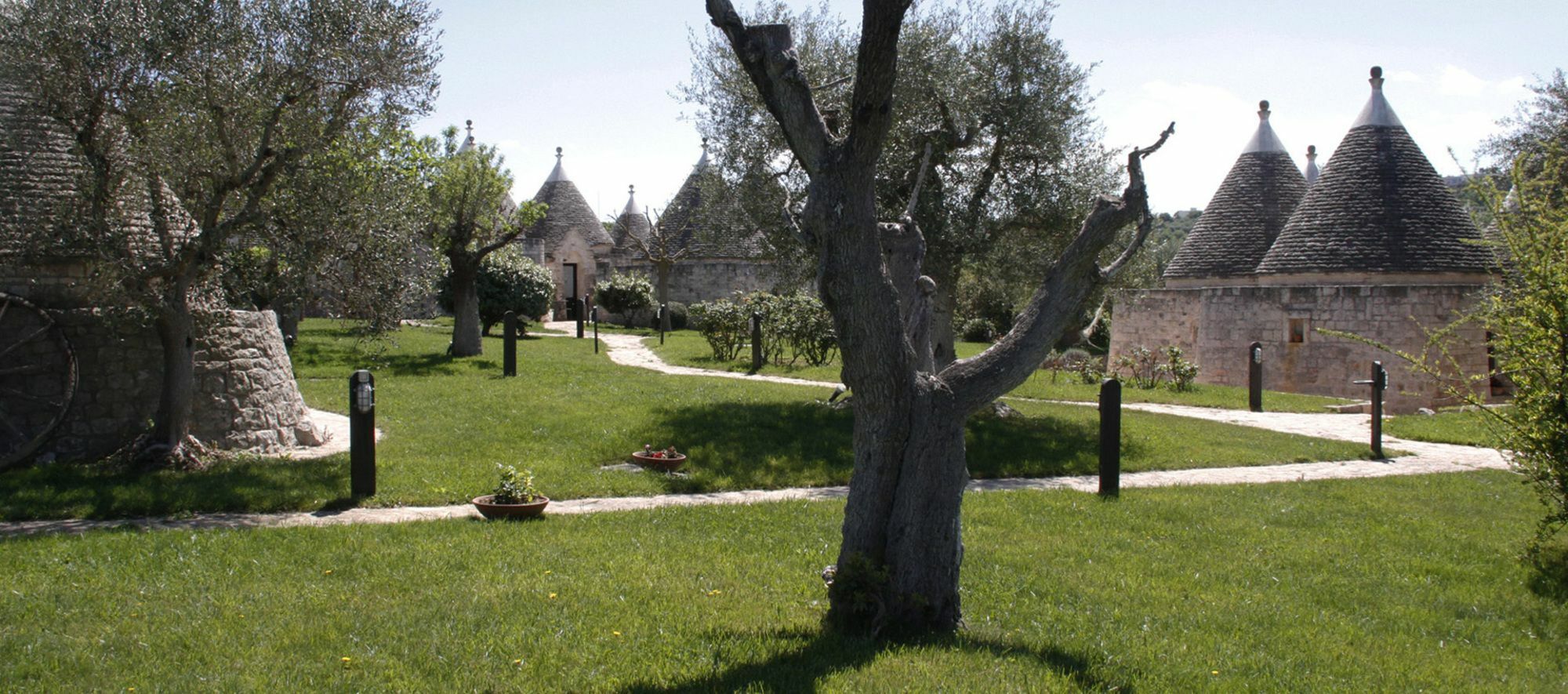 Il Palmento Hotel Relais Locorotondo Dış mekan fotoğraf